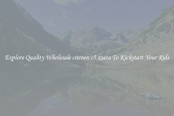 Explore Quality Wholesale citroen c5 xsara To Kickstart Your Ride