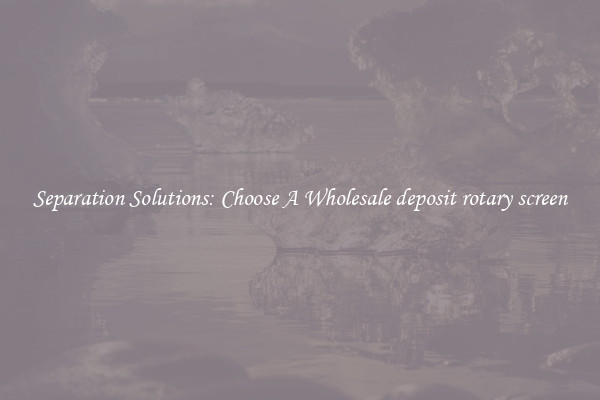 Separation Solutions: Choose A Wholesale deposit rotary screen
