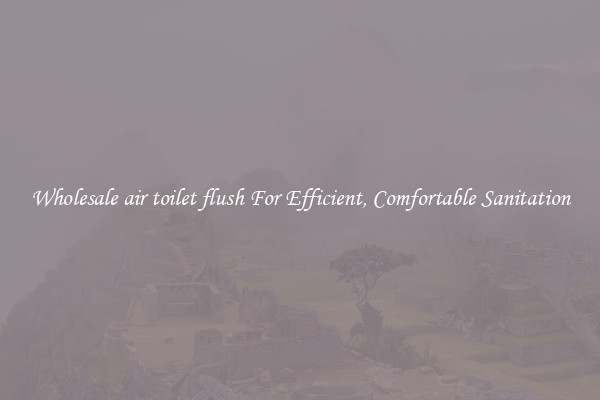 Wholesale air toilet flush For Efficient, Comfortable Sanitation