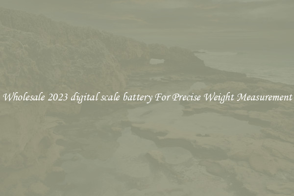 Wholesale 2023 digital scale battery For Precise Weight Measurement