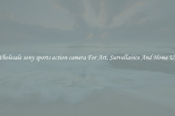 Wholesale sony sports action camera For Art, Survellaince And Home Use
