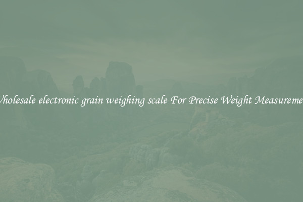 Wholesale electronic grain weighing scale For Precise Weight Measurement