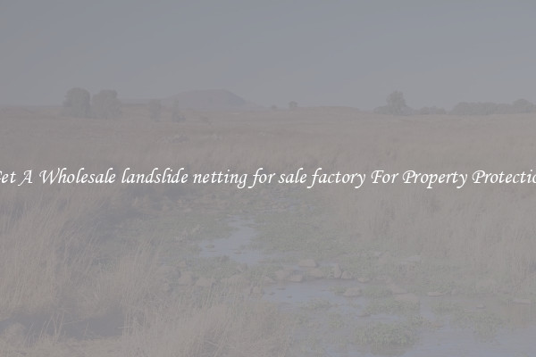 Get A Wholesale landslide netting for sale factory For Property Protection
