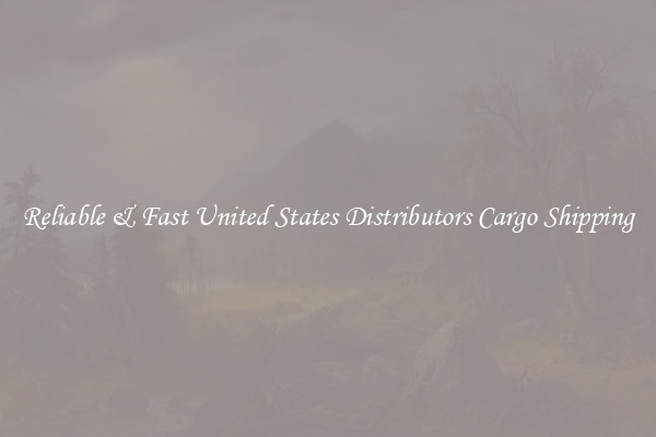 Reliable & Fast United States Distributors Cargo Shipping