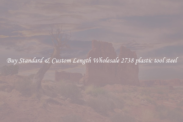 Buy Standard & Custom Length Wholesale 2738 plastic tool steel