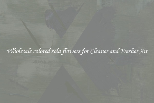Wholesale colored sola flowers for Cleaner and Fresher Air