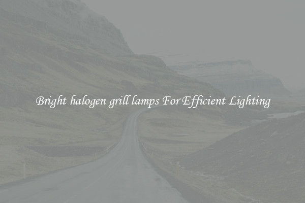 Bright halogen grill lamps For Efficient Lighting