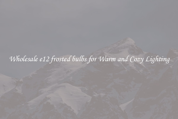 Wholesale e12 frosted bulbs for Warm and Cozy Lighting