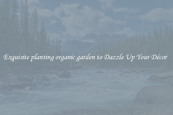 Exquisite planting organic garden to Dazzle Up Your Décor  