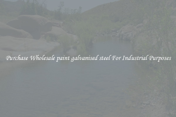 Purchase Wholesale paint galvanised steel For Industrial Purposes