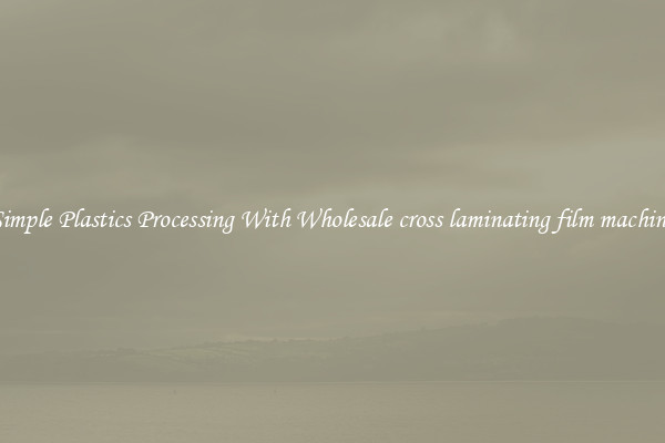 Simple Plastics Processing With Wholesale cross laminating film machine