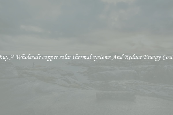 Buy A Wholesale copper solar thermal systems And Reduce Energy Costs