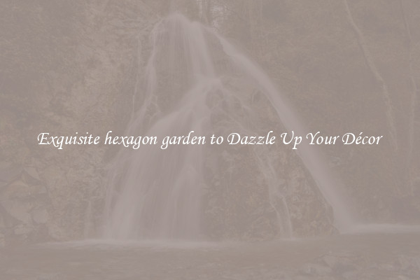 Exquisite hexagon garden to Dazzle Up Your Décor 