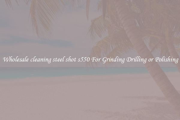 Wholesale cleaning steel shot s550 For Grinding Drilling or Polishing