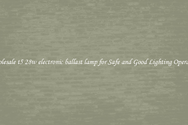 Wholesale t5 28w electronic ballast lamp for Safe and Good Lighting Operation