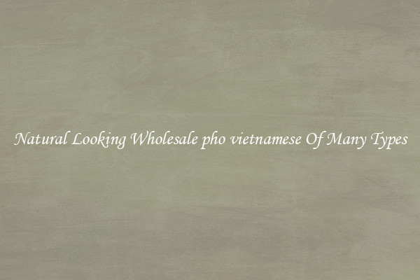 Natural Looking Wholesale pho vietnamese Of Many Types