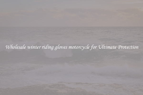 Wholesale winter riding gloves motorcycle for Ultimate Protection