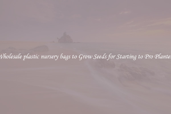 Wholesale plastic nursery bags to Grow Seeds for Starting to Pro Planters