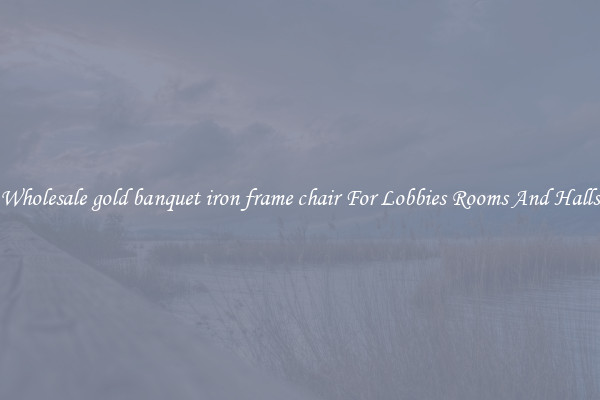 Wholesale gold banquet iron frame chair For Lobbies Rooms And Halls