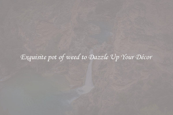 Exquisite pot of weed to Dazzle Up Your Décor 