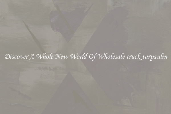 Discover A Whole New World Of Wholesale truck tarpaulin