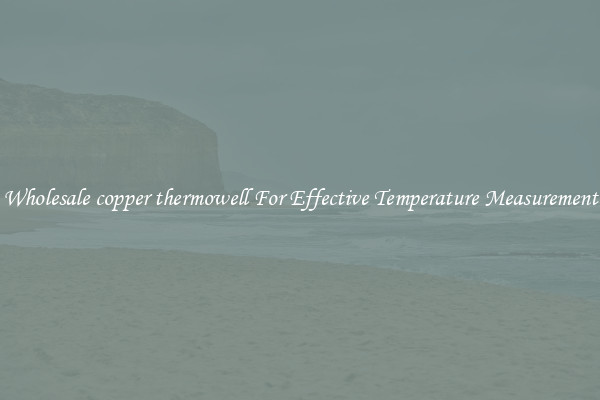 Wholesale copper thermowell For Effective Temperature Measurement