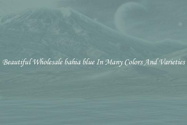 Beautiful Wholesale bahia blue In Many Colors And Varieties