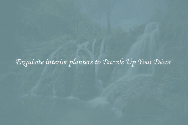Exquisite interior planters to Dazzle Up Your Décor 